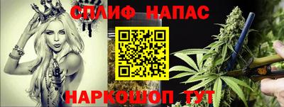 прущие грибы Камышлов